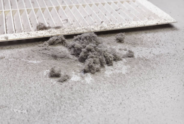 Best Air Duct Inspection  in County Center, VA