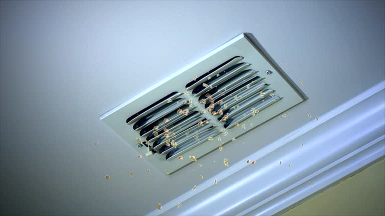 Best Air Vent Cleaning Services  in County Center, VA