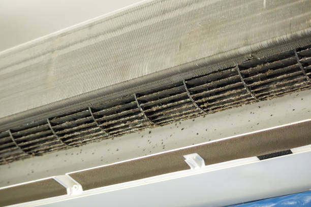 Best Residential Air Duct Cleaning  in County Center, VA